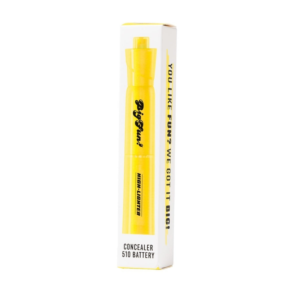 BigFun! High-Lighter Battery